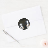 Bernese mountain dog puppies stickers (Envelope)