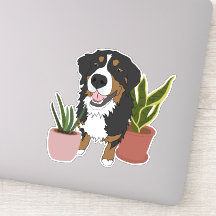 Bernese Mountain Dog Puppy And Plants