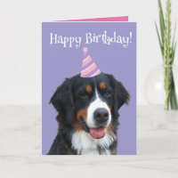 Bernese Mountain Dog Puppy Birthday