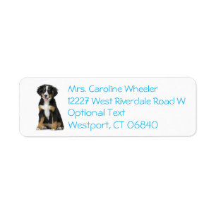 Bernese Mountain Dog Puppy Dog Blue Return Address