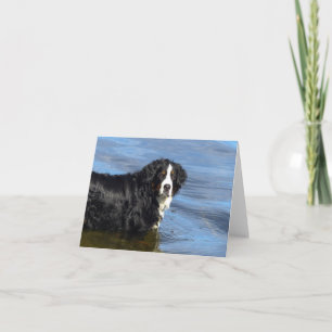 Bernese Mountain Dog Puppy Dog Note Card