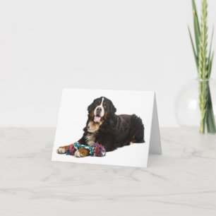 Bernese Mountain Dog Puppy Dog Note Card