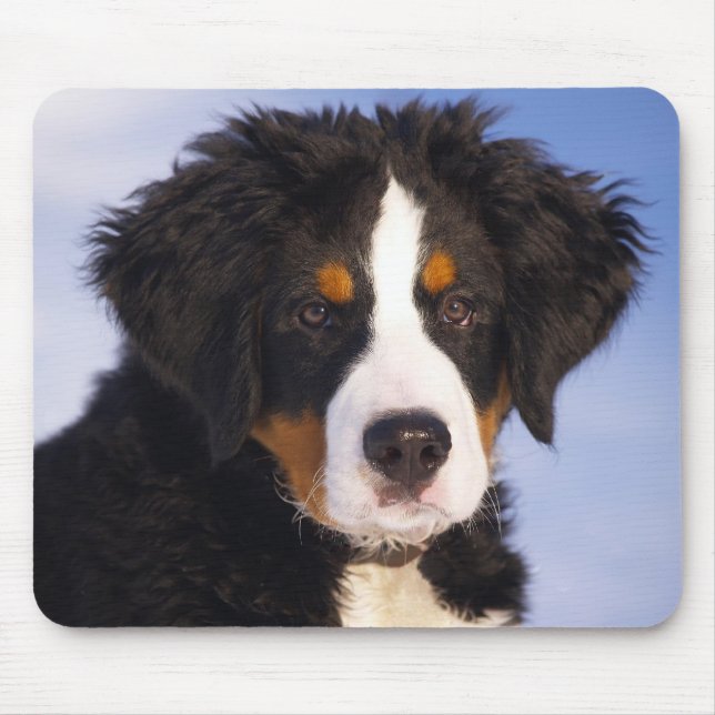 Bernese Mountain Dog Puppy Mouse Pad (Front)