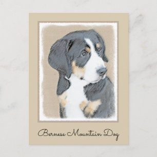 Bernese Mountain Dog Puppy Painting - Original Art Postcard