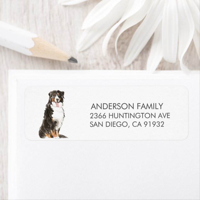 Bernese Mountain Dog Return Address Label (Insitu)