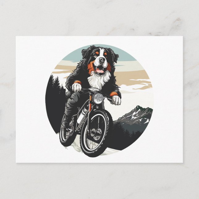 Bernese Mountain Dog Riding A Mountain Bike Postcard (Front)