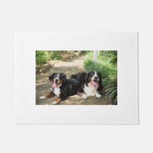 bernese mountain dog rust group doormat