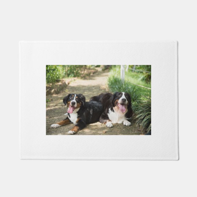 bernese mountain dog rust group doormat (Front)