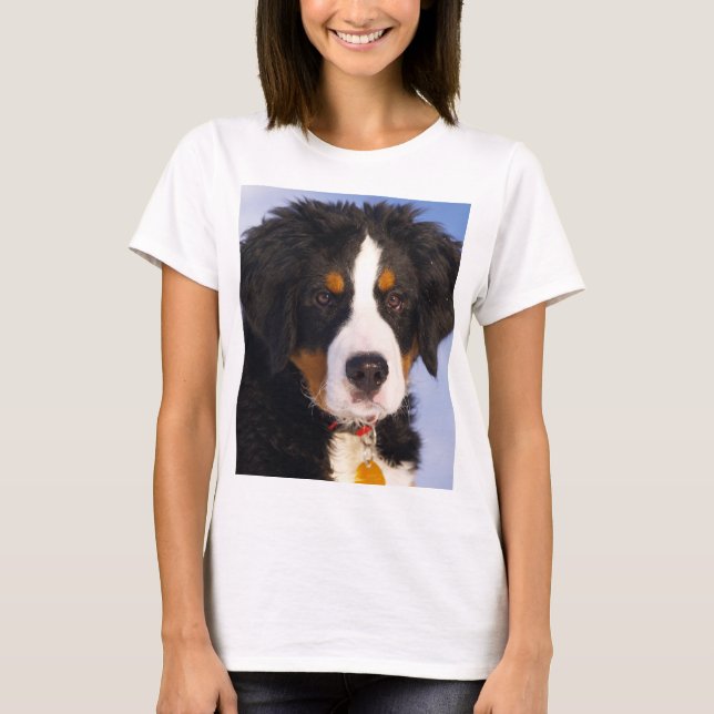 bernese-mountain-dog-rust puppy T-Shirt (Front)