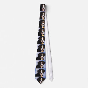 bernese-mountain-dog-rust puppy tie