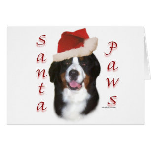 Bernese Mountain Dog Santa Paws
