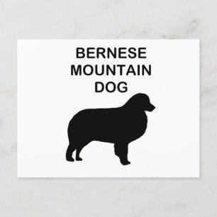 bernese mountain dog silhouette with name postcard