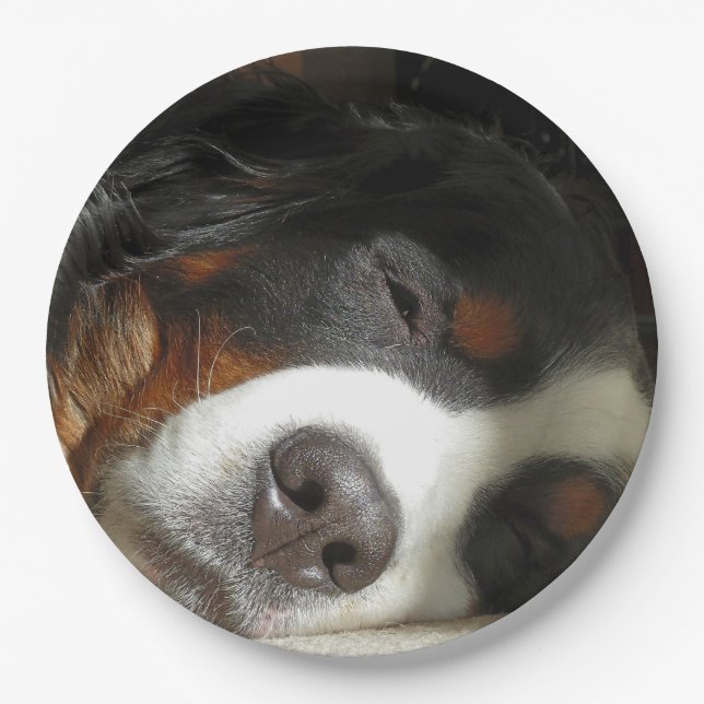 bernese mountain dog sleeping paper plate (Front)