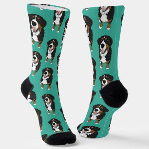 Bernese Mountain Dog Socks