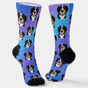Bernese Mountain Dog Socks