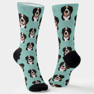 Bernese Mountain Dog  Socks