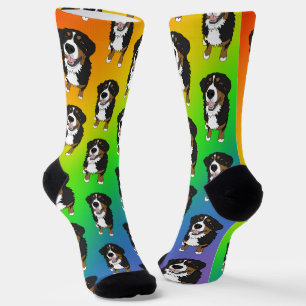 Bernese Mountain Dog Socks