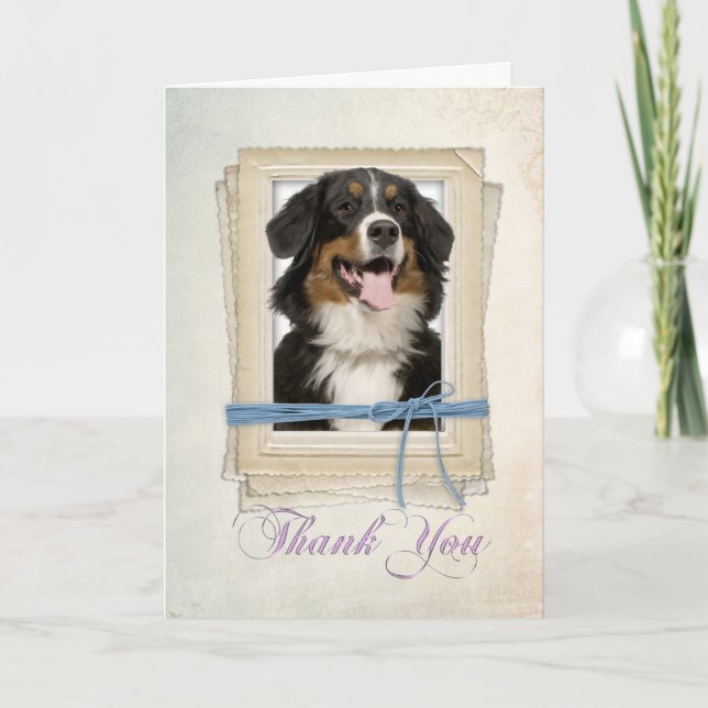 Bernese Mountain Dog Thank You Card (Front)