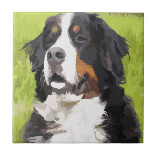 Bernese mountain dog tile