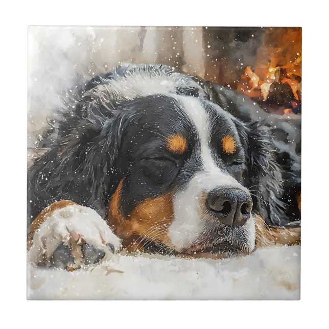 Bernese Mountain Dog Tile (Front)