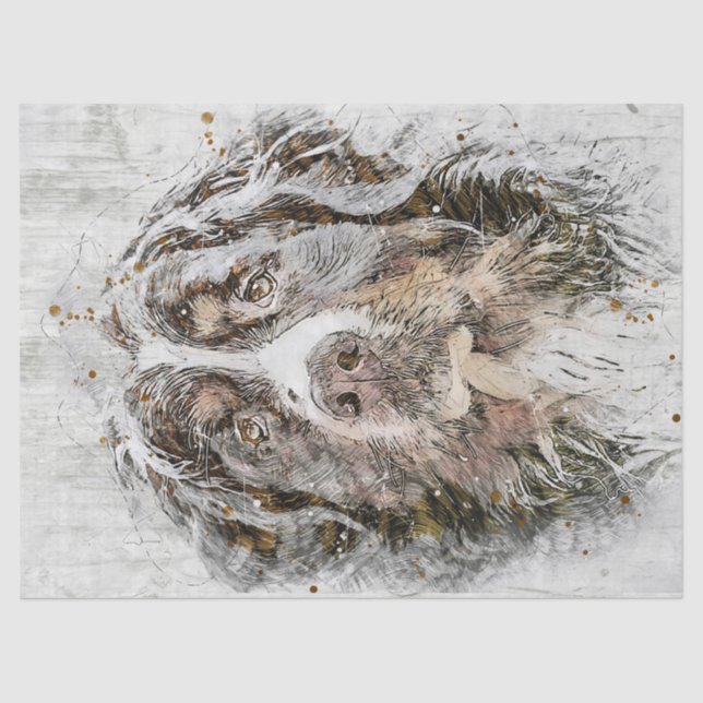 Bernese Mountain Dog Tissue Paper (Front)