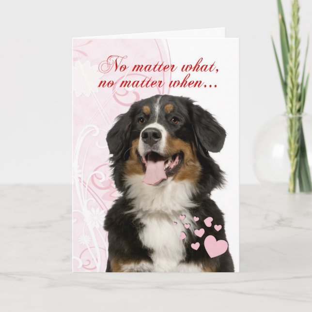 Bernese Mountain Dog Valentine Holiday Card (Front)