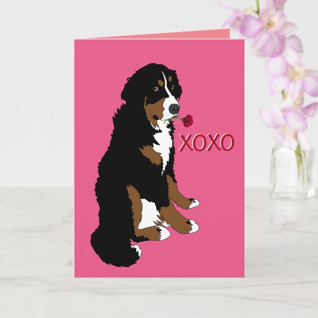 Bernese Mountain Dog Valentines Day Card (Orchid)