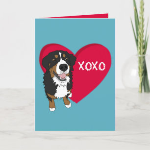 Bernese Mountain Dog Valentines Day  Thank You Card