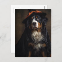 Bernese Mountain Dog Witch