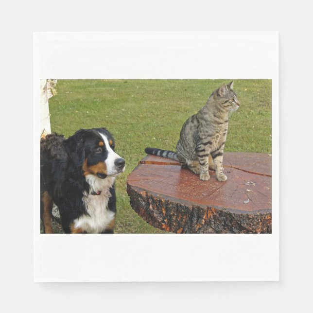 bernese mountain dog with cat napkin (Front)