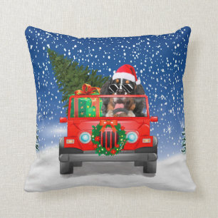 bernese mountain dog with Christmas gifts Cushion