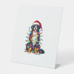Bernese Mountain Dog x Christmas Lights  Pedestal Sign