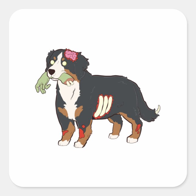 Bernese Mountain Dog Zombie Halloween Square Sticker (Front)
