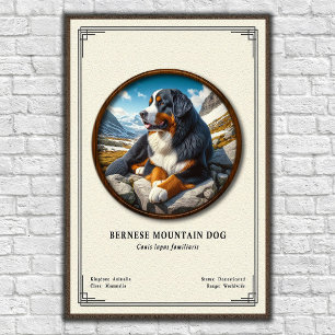 Bernese Mountain Dog Zoology Series Poster
