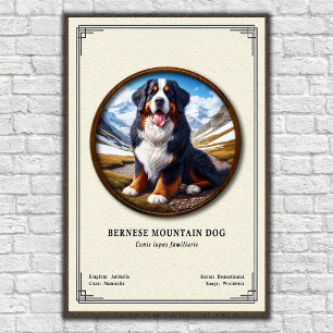 Bernese Mountain Dog Zoology Series Poster