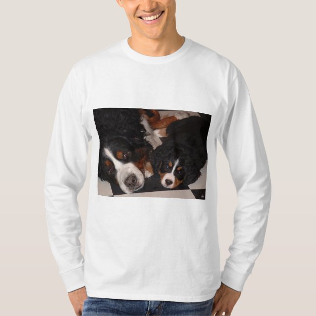 Bernese Mountain Dogs Head to Head Men's T_Shirt T-Shirt (Front)