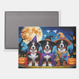 Bernese Mountain Dogs Pumpkin Halloween Funny Magnet