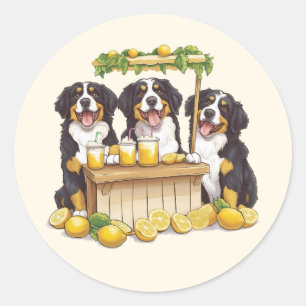 Bernese Mountain Dogs Running A Lemonade Stand Classic Round Sticker