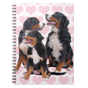 Bernese Mountain Dogs with Pink Hearts Spiral Notebook