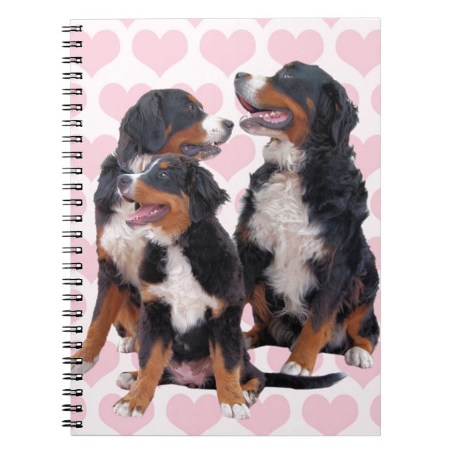 Bernese Mountain Dogs with Pink Hearts Spiral Notebook (Front)