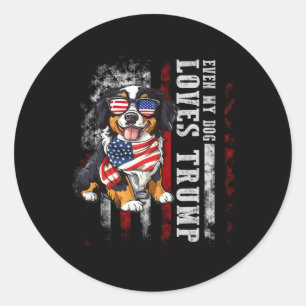 Bernese Mountain Even My Dog Loves Trump Funny  Classic Round Sticker