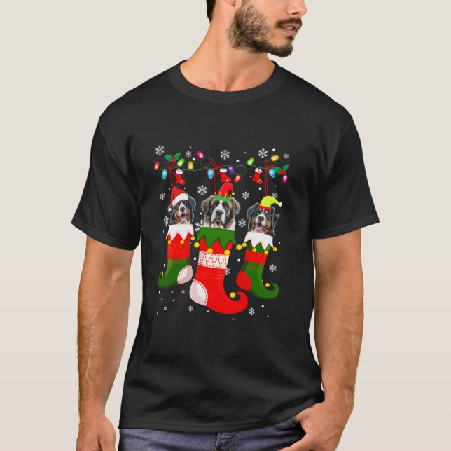 Bernese Mountain In Socks Christmas Santa Hat Xmas T-Shirt (Front)