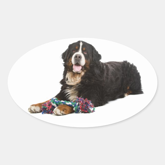 Bernese Mountain Puppy Dog Sticker / Seal (Front)