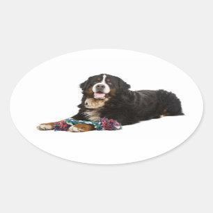 Bernese Mountain Puppy Dog Sticker / Seal