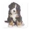 Bernese Mountain Puppy Dog Sticker / Seal