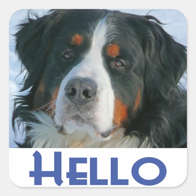 Bernese Mountain Puppy Dog Sticker / Seal (Front)