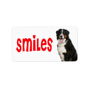 Bernese Mountain Puppy Mum Dog Rescue Dad Hello Label
