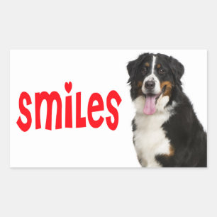 Bernese Mountain Puppy Mum Dog Rescue Dad Hello Rectangular Sticker