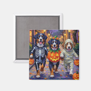 Bernese Mountain Trick-or-Treating In Halloween Magnet