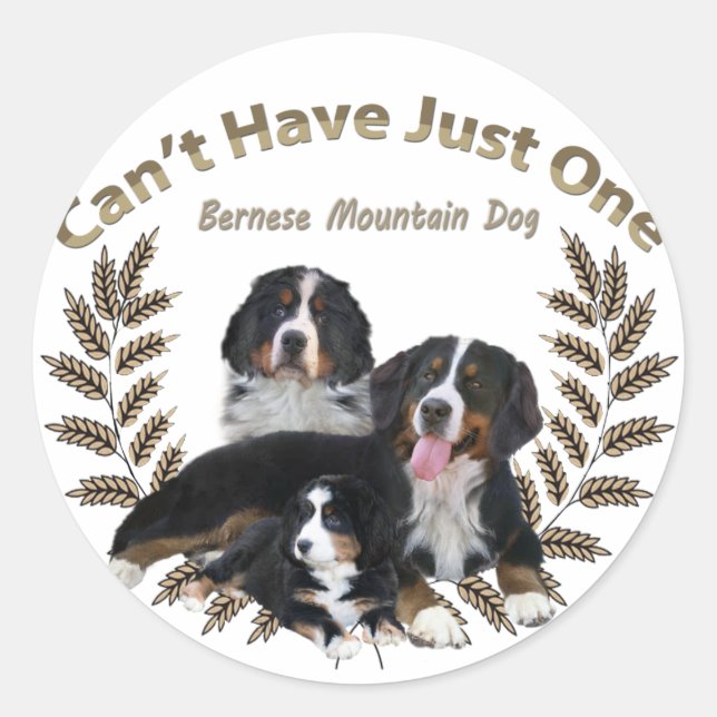 Bernese Mt. Dog Can't Have Just One Classic Round Sticker (Front)